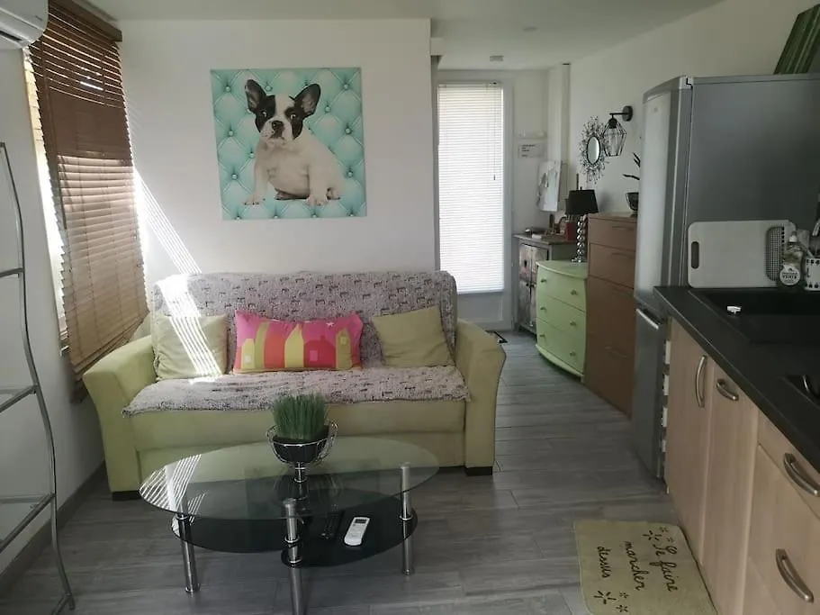 Studio Independant Dans Villa Avec Piscine Cagnes Apartment