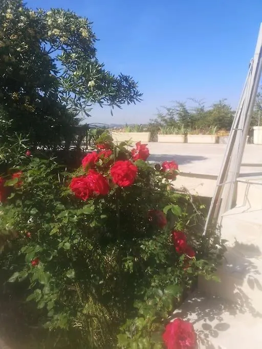 Apartment Studio Independant Dans Villa Avec Piscine Cagnes France